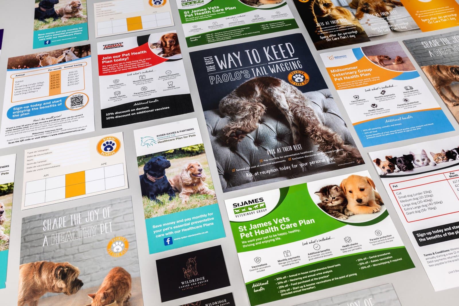 Veterinary Practice project 2